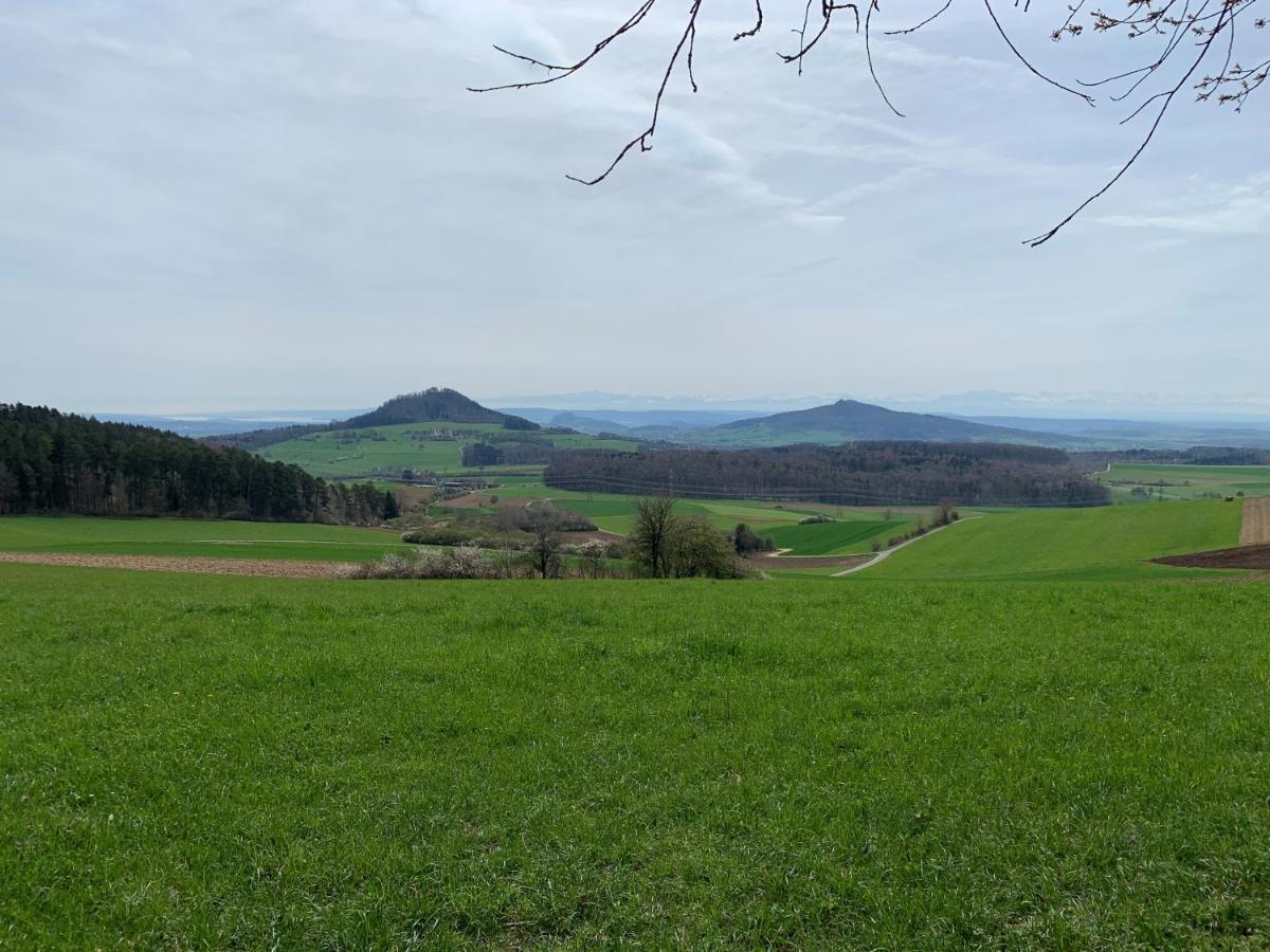 Ferienwohnung Im Glockenziel Энген Экстерьер фото